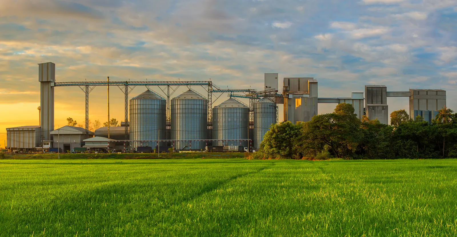 Un'ampia panoramica di un complesso industriale moderno con silos e magazzini. La scena cattura le strutture metalliche eleganti contro un campo verde, con il cielo che mostra una combinazione di nuvole e luce solare. L'impressione complessiva è quella di un sito industriale consolidato e operativo.